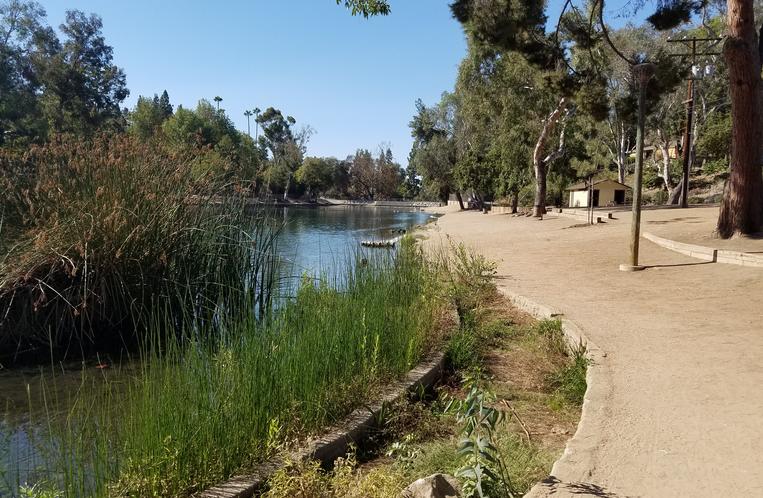 Laguna Lake Park Fullerton California