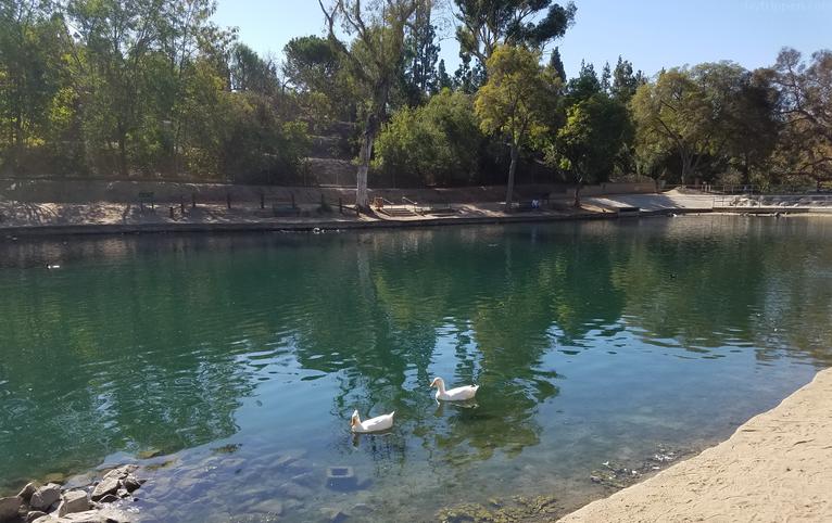 Laguna Lake Park Fullerton