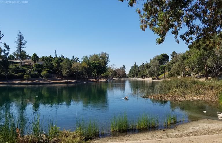 Laguna Lake Park Day Trip Fullerton's Hidden Gem