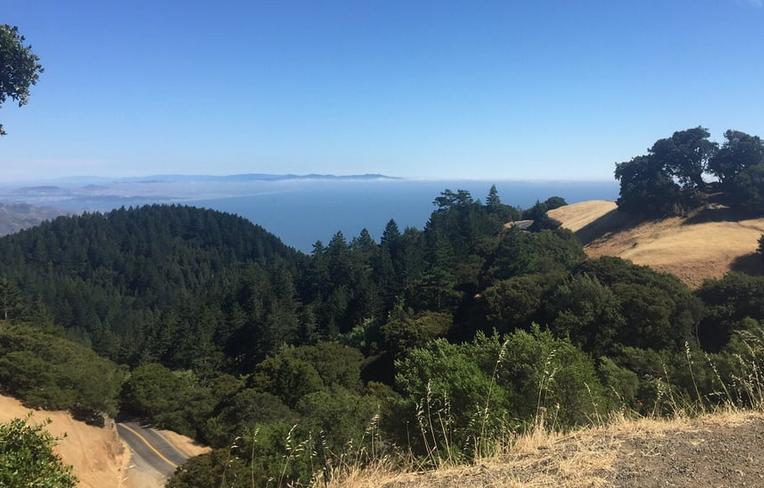 Mount Tamalpais State Park San Francisco Day Trip