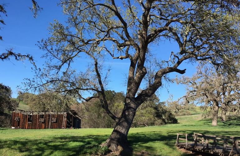 Santa Ynez Valley California Central Coast