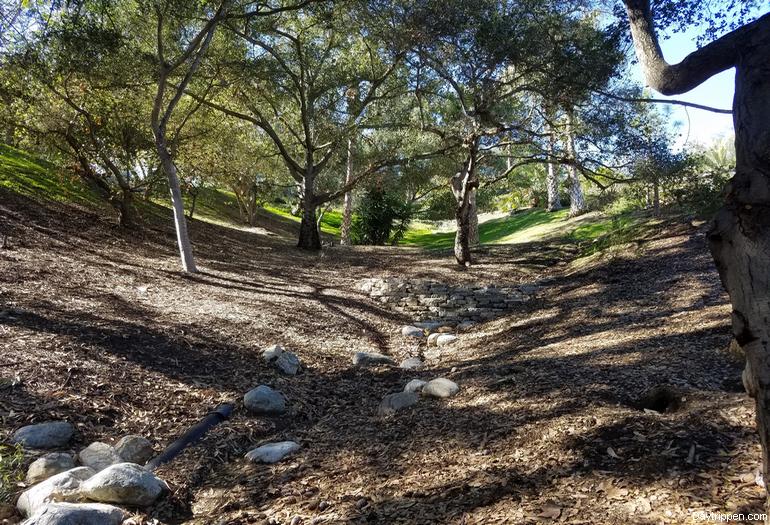 Laguna Niguel Botanical Preserve