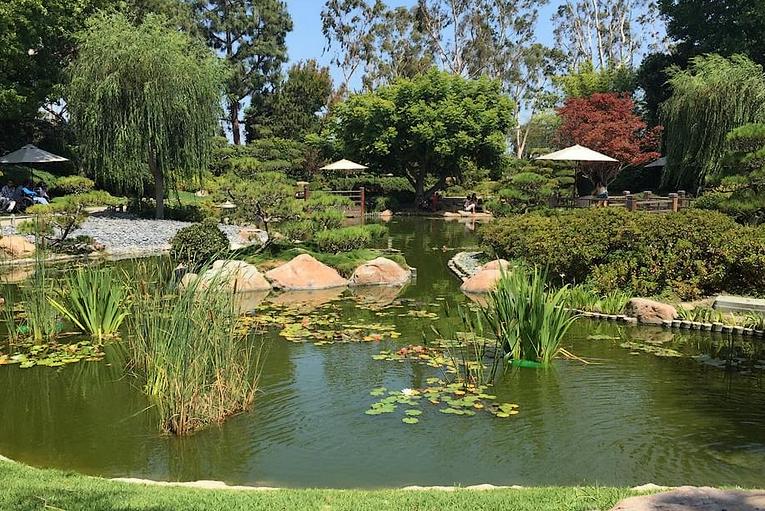 Earl Burns Miller Japanese Garden Long Beach State