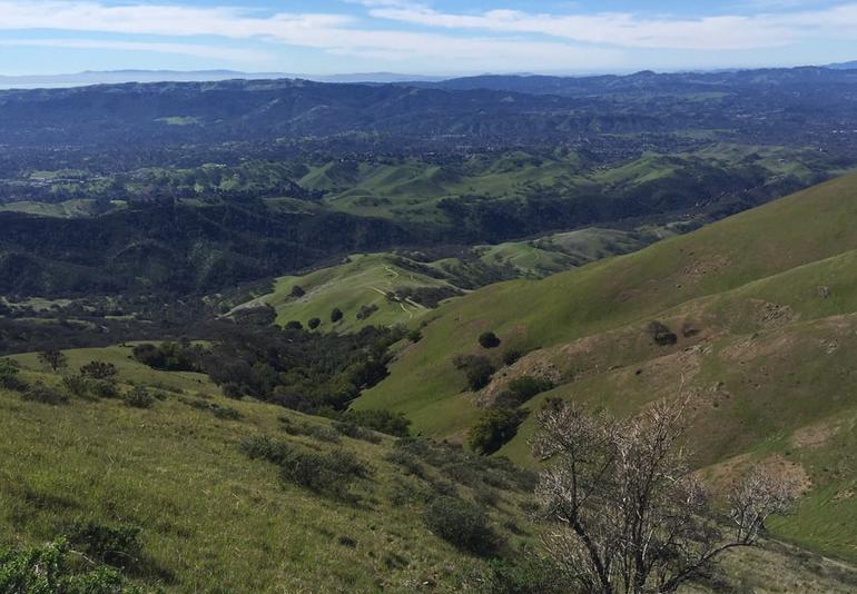 Excursión de un día al Parque Estatal del Monte Diablo en San Francisco