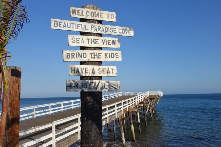 are dogs allowed at paradise cove beach