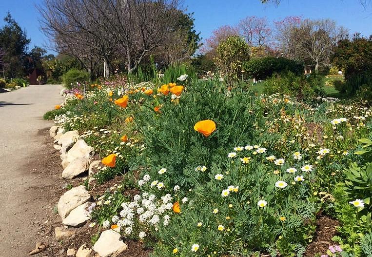 18 Beautiful Southern California Botanical Gardens