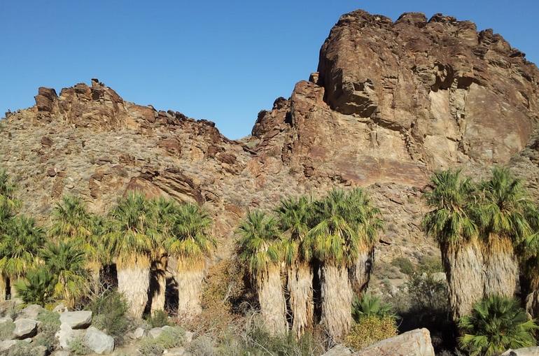 Indian Canyons Palm Springs