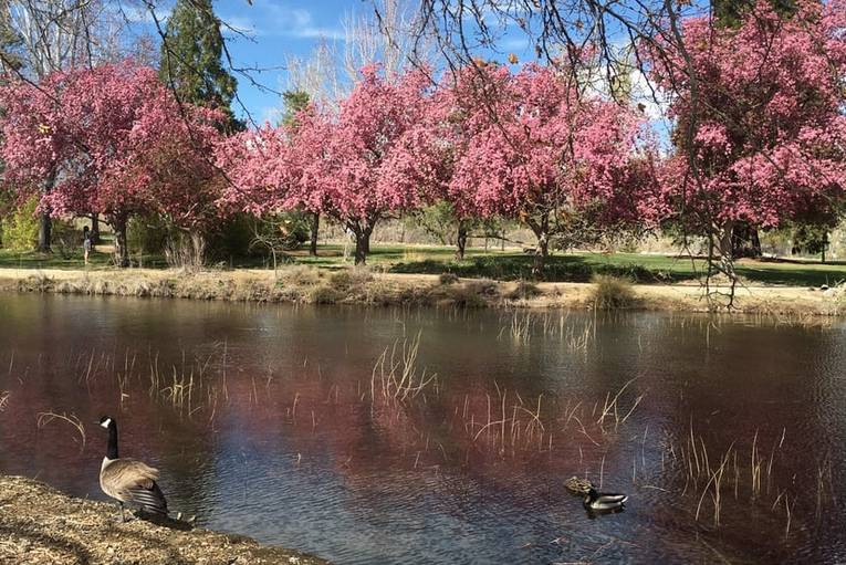 Idlewild Park Reno