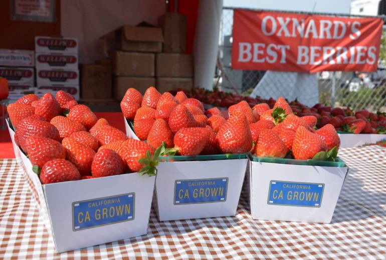 Oxnard Strawberry Festival Discounts Schedule Activities