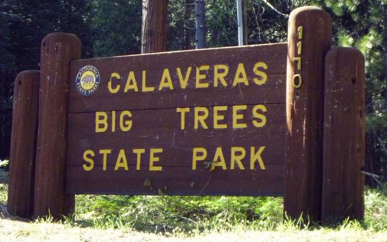 Calaveras Big Trees State Park