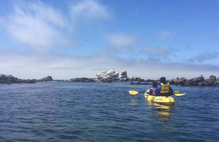 Voyage d'une journée à Moss Landing