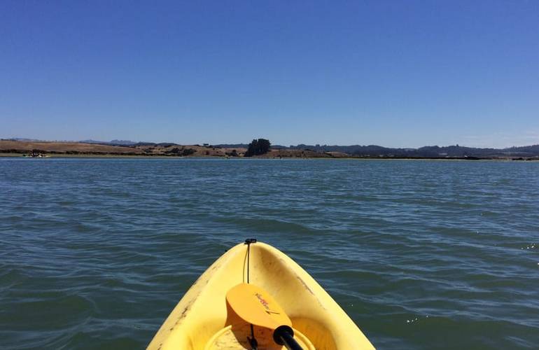 Moss Landing Day Trip Kayaking Adventures Fresh Seafood