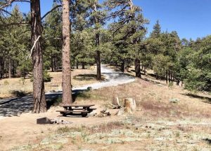 Table Mountain Campground Things To Do Wrightwood CA