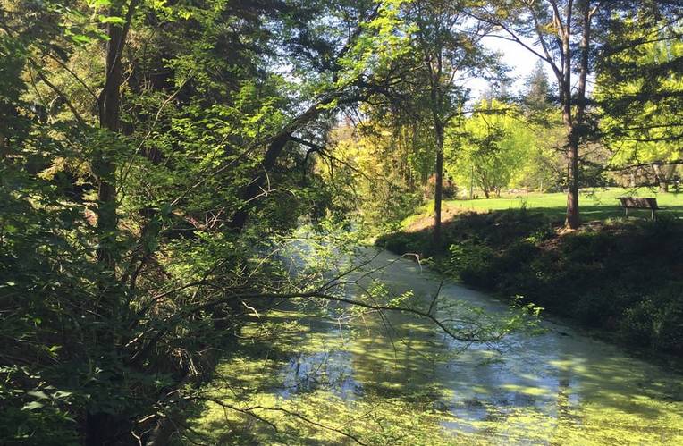 UC Davis Arboretum