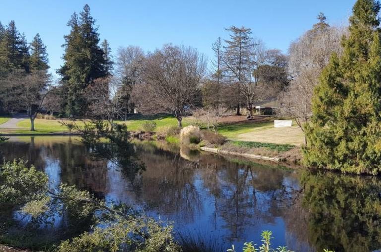 Uc Davis Arboretum Day Trip: Relax And Explore Nature