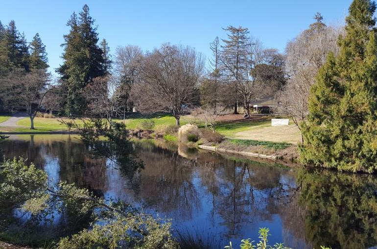 UC Davis Arboretum