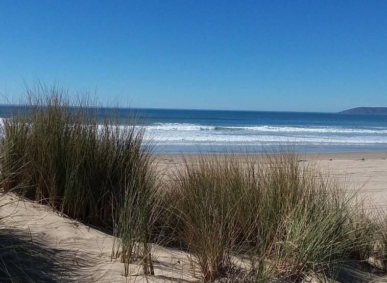 Pismo State Beach Campgrounds