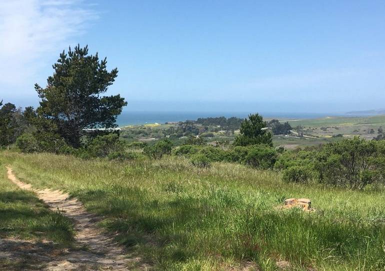 San Simeon Creek Campground