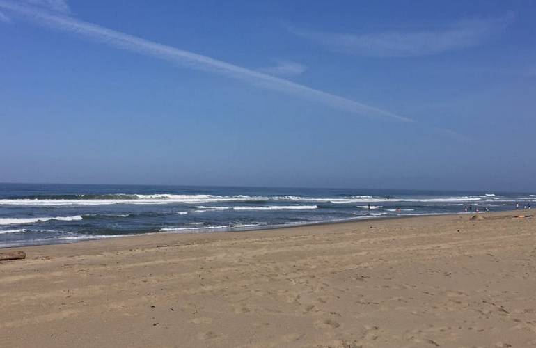 Sunset State Beach Camping