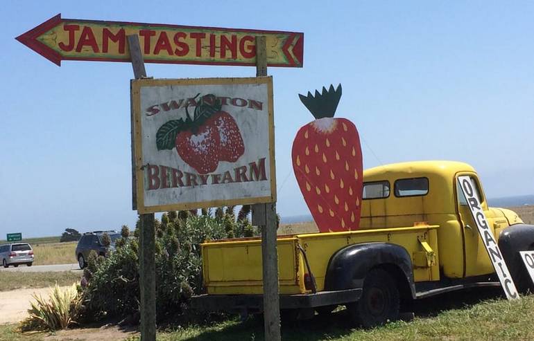 Swanton Farm Stand & U-Pick