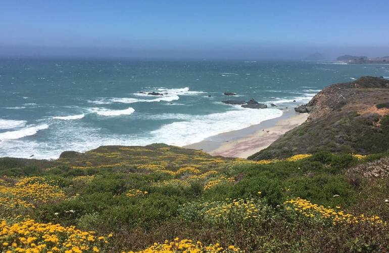 Andrew Molera State Park