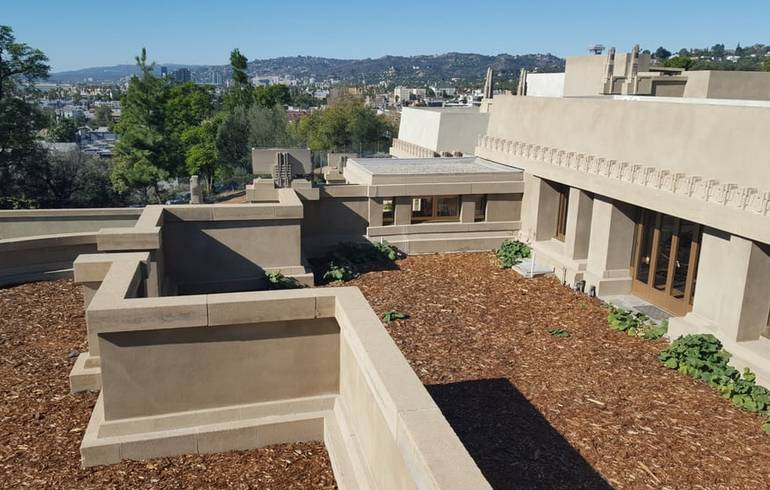 Hollyhock House Los Angeles