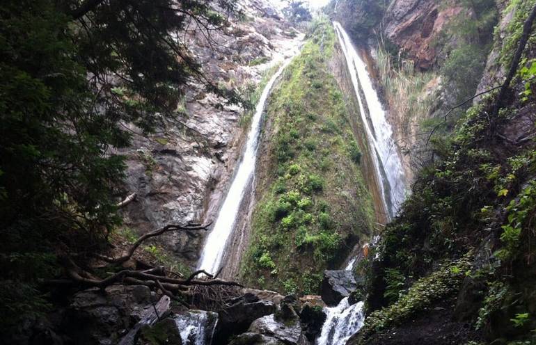 Limekiln State Park Waterfall