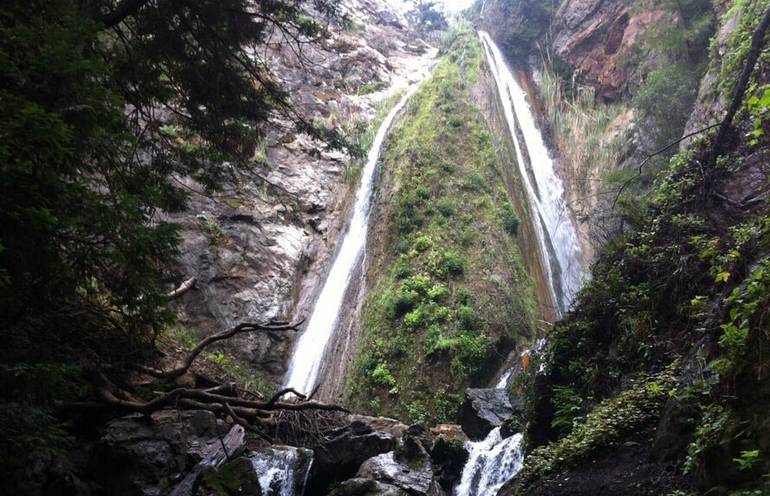 limekiln state park campground