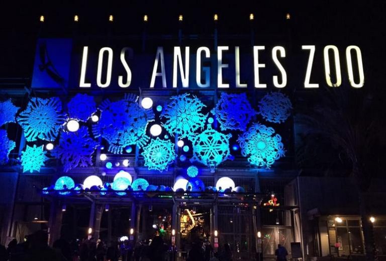 Los Angeles Zoo Lights Discount Tickets Experience Holiday Magic