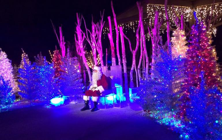L.A. Zoo Lights Holiday Event