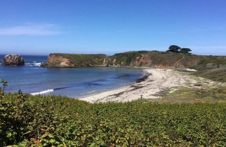 Andrew Molera State Park California Big Sur Coast