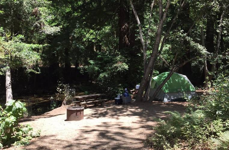 Pfeiffer Big Sur State Park Campground