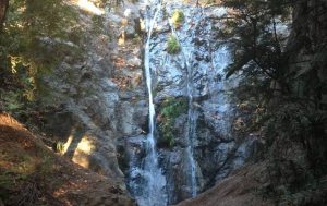 Pfeiffer Big Sur State Park California Hiking Camping