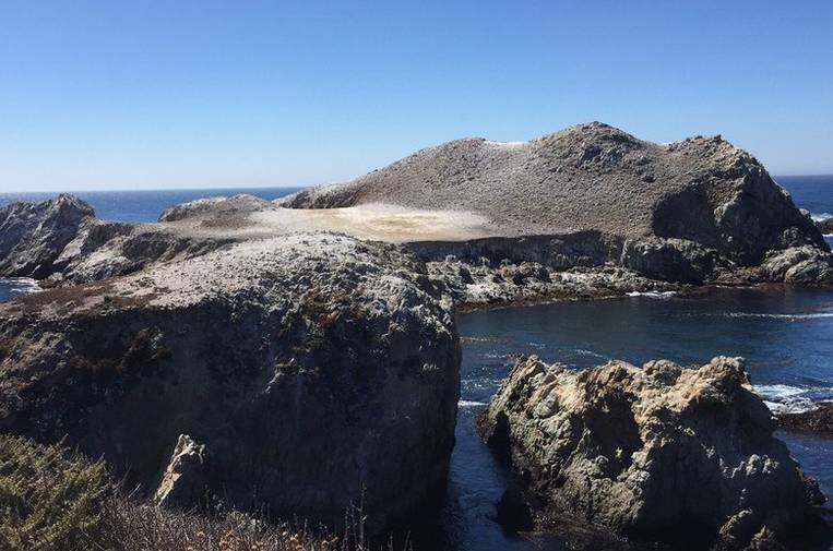 Point Lobos Bird Island