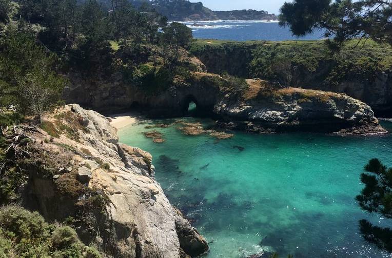 Point Lobos State Natural Reserve