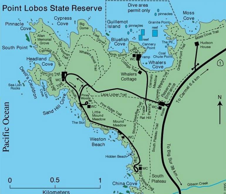 Point Lobos State Natural Reserve Day Trip Exploring Nature   Point Lobos Map 