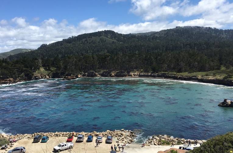 Point Lobos State Natural Reserve Whaler's Cove