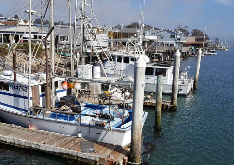 Fishing Fleet California Central Coast