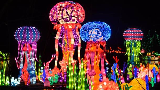 chinese lantern discount tickets