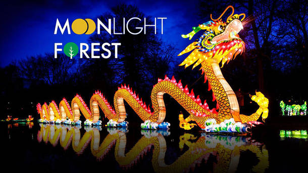 chinese lantern festival coupon code