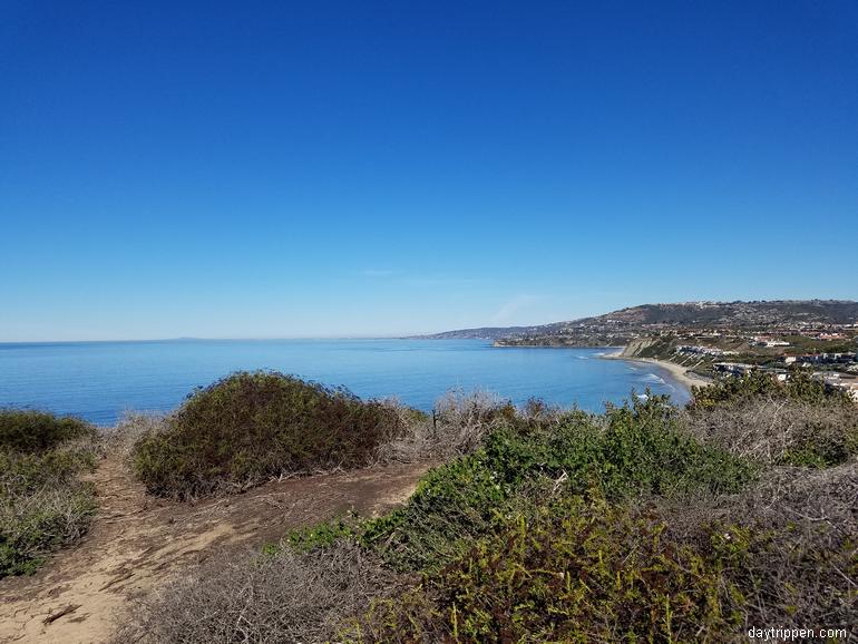 Whale Watching From Shore in Socal