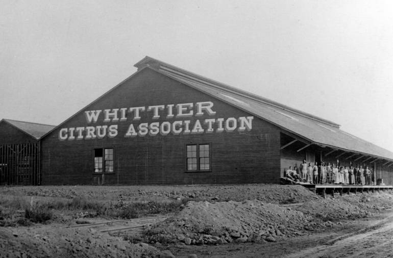 Original Whittier Citrus Packing House King Richard’s Antique Center 