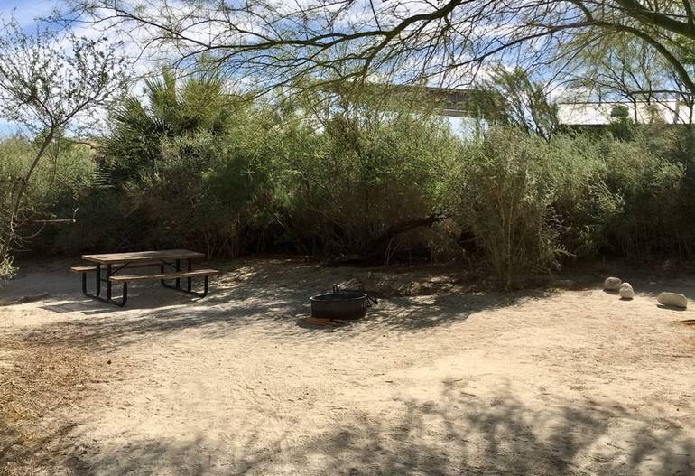 Agua Caliente Springs Park Campsite