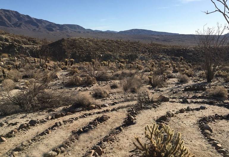 Hiking Agua Caliente Springs Park 