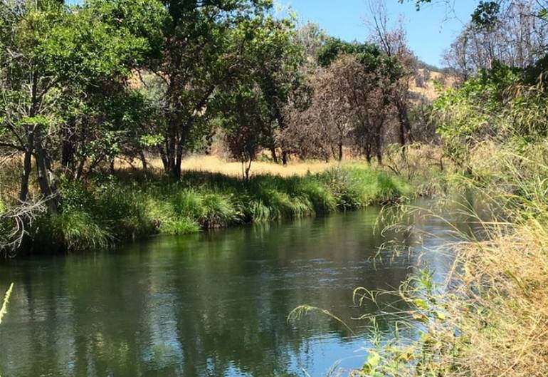 Putah Creek Wildlife Area