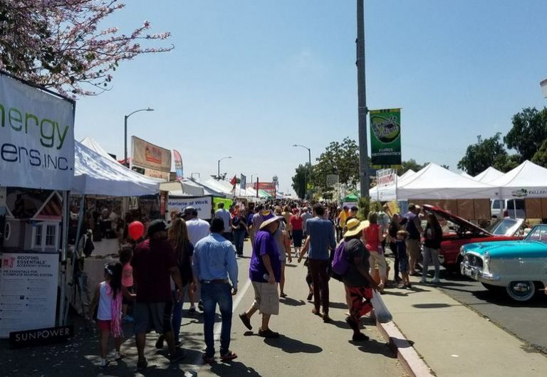 Fallbrook Avocado Festival Avocado Capital of the World