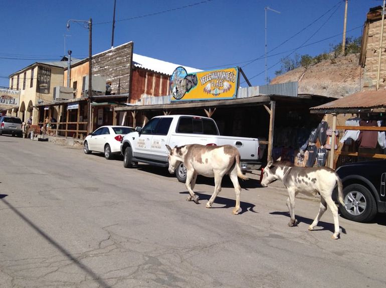 Day Trip Oatman Ghost Town Arizona Things To Do