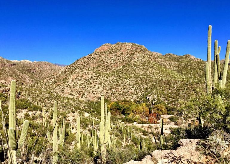 Sabino Canyon Tucson
