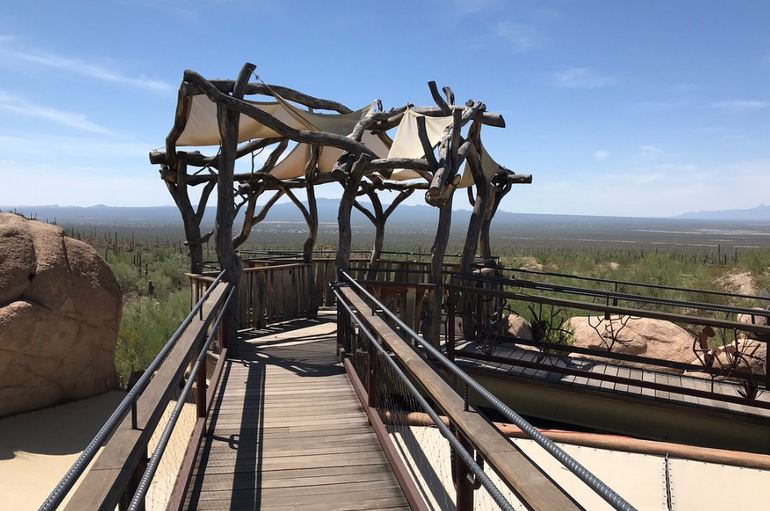 Sonora Desert Museum Overlook