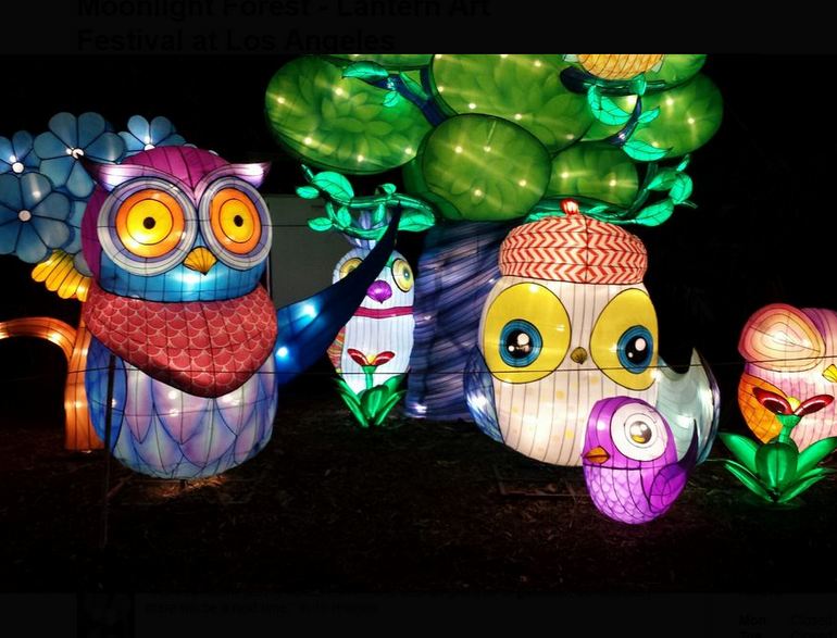 Owl Lanterns